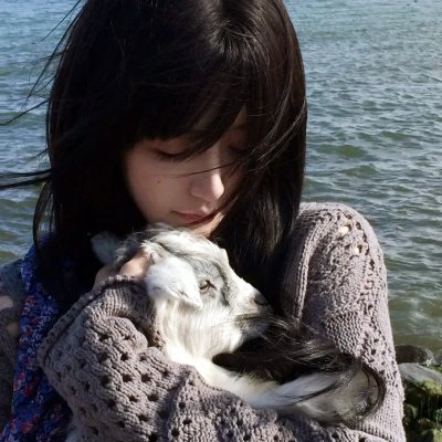 进击了，我的高歌